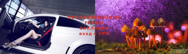 дурь Алзамай