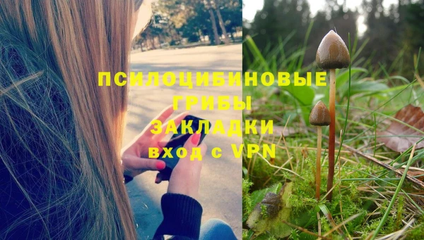 ALPHA PVP Алексеевка