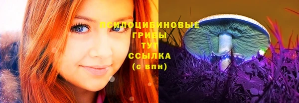 ECSTASY Алексин